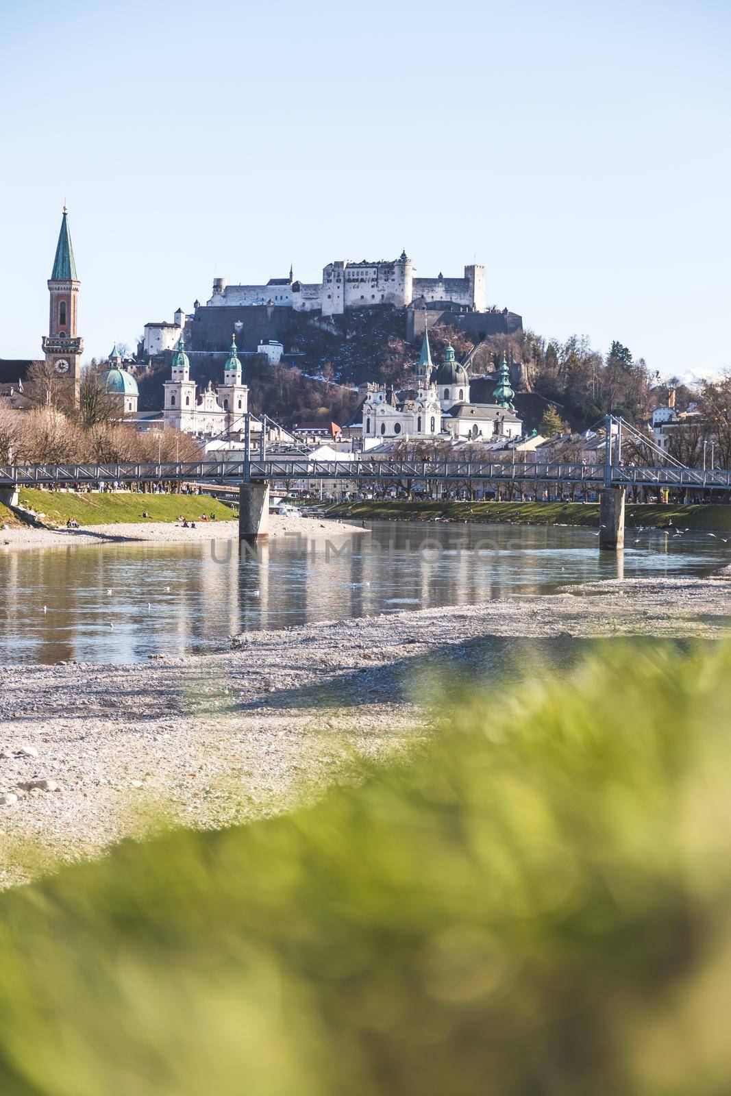 Salzburg spring time: Panoramic city landscape with Salzach with green grass and historic district by Daxenbichler