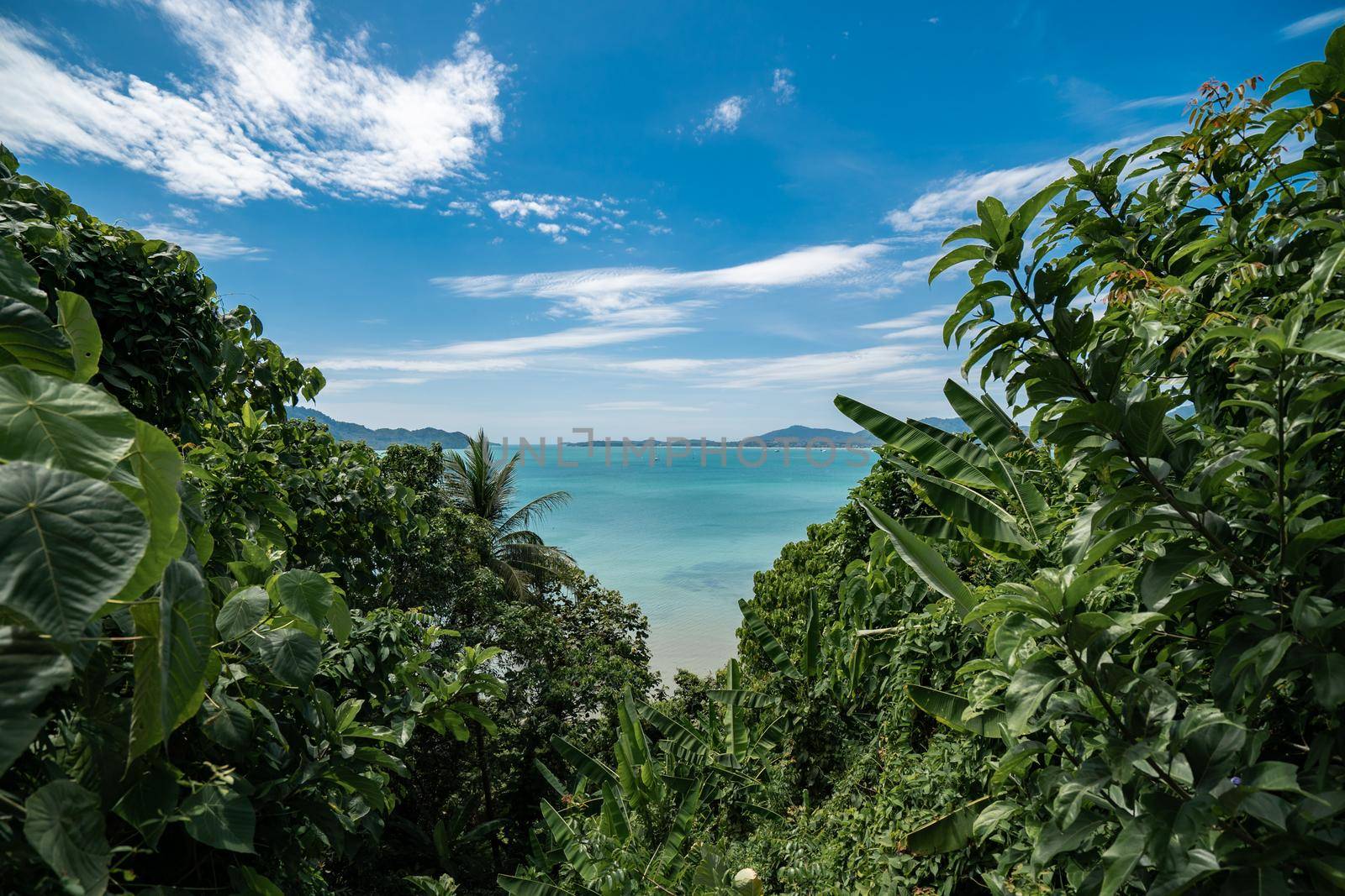 Tropical island with green trees on the foreground and beach, Phuket, Thailand.