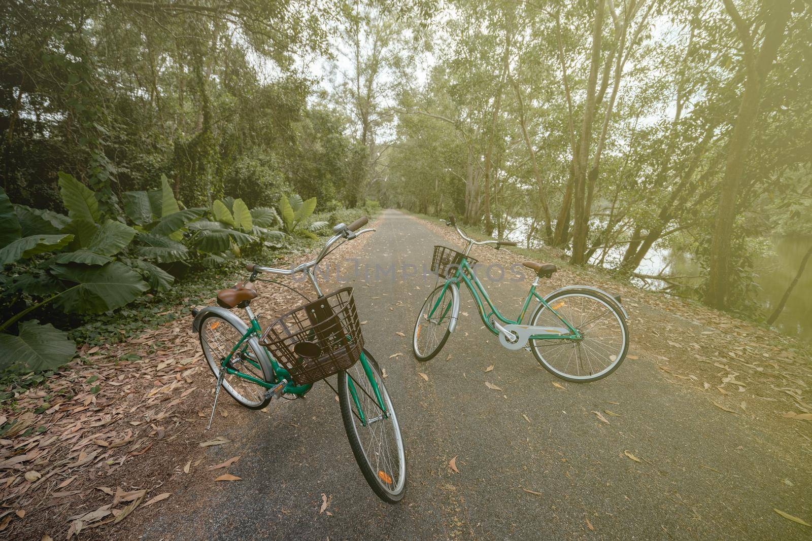 A bicycle on road with sunlight and green tree in park outdoor. by sirawit99