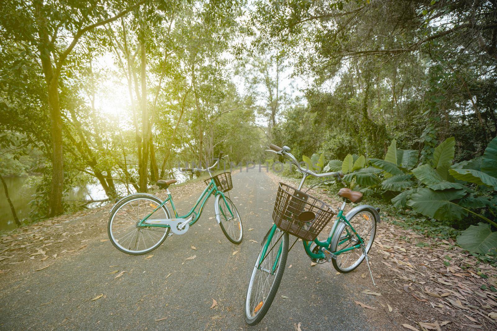 A bicycle on road with sunlight and green tree in park outdoor. by sirawit99