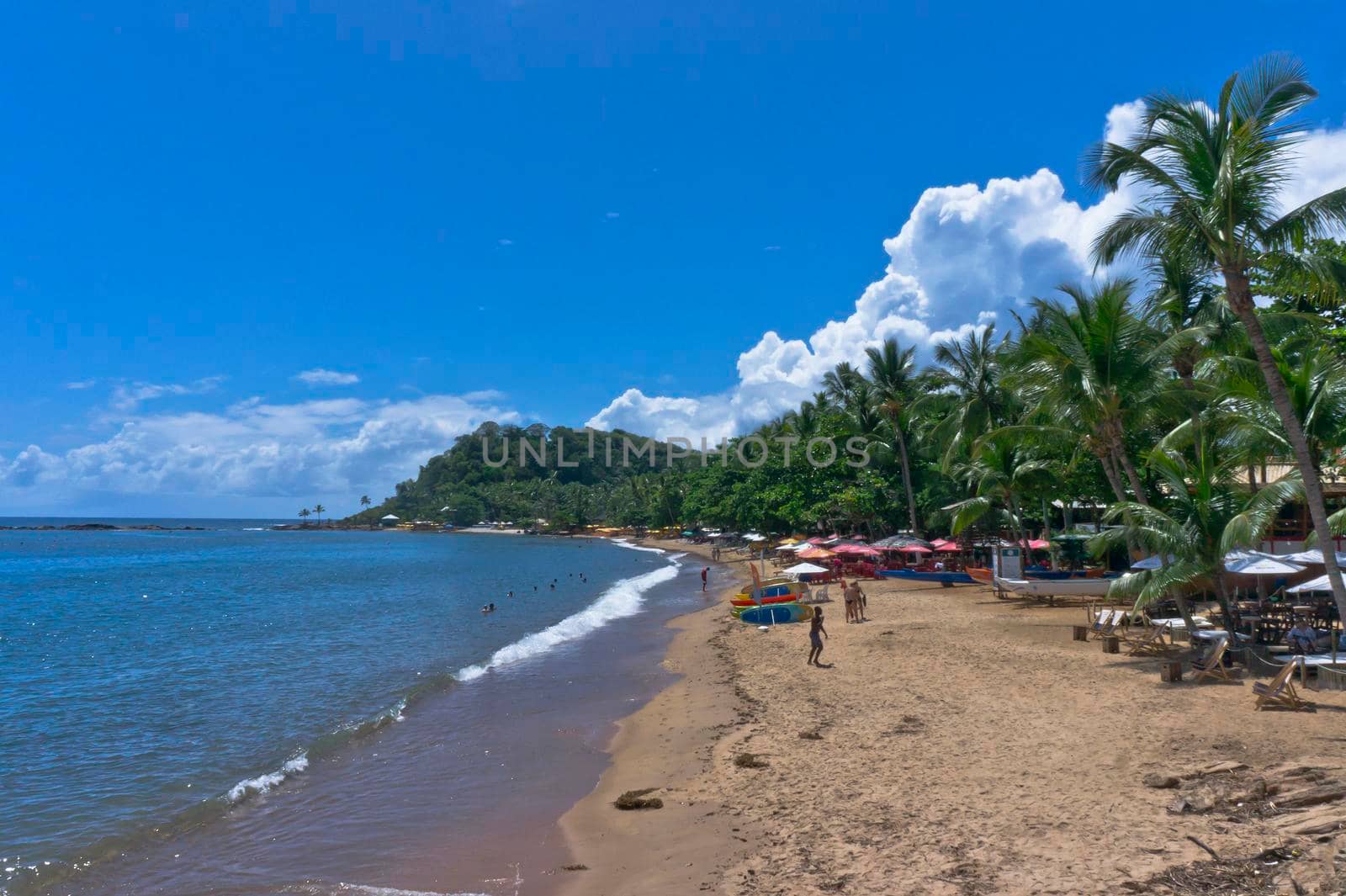 Itacare, Tropical beach view, Bahia, Brazil, South America