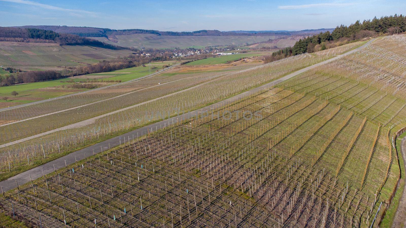 Aerial view of the river Moselle valley with vineyards and the village Osann-Monzel in the background