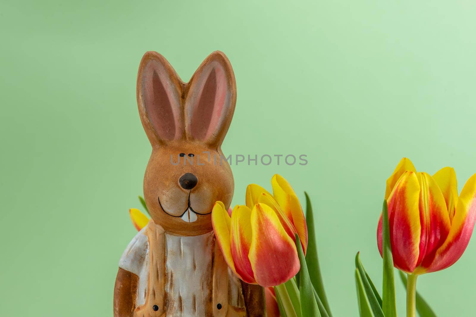 Easter bunny and bouquet with yellow red tulips against a light green background