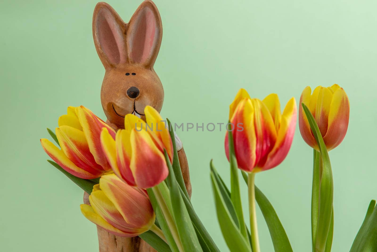 Easter bunny and bouquet with yellow red tulips against a light green background