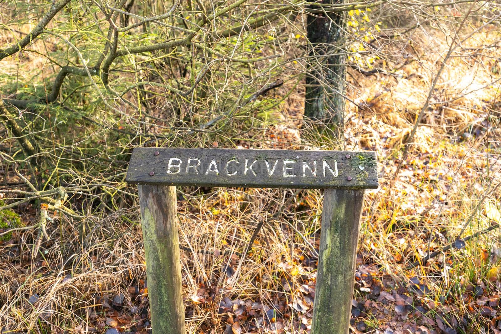 Information sign on the hiking trail in the high fens by reinerc