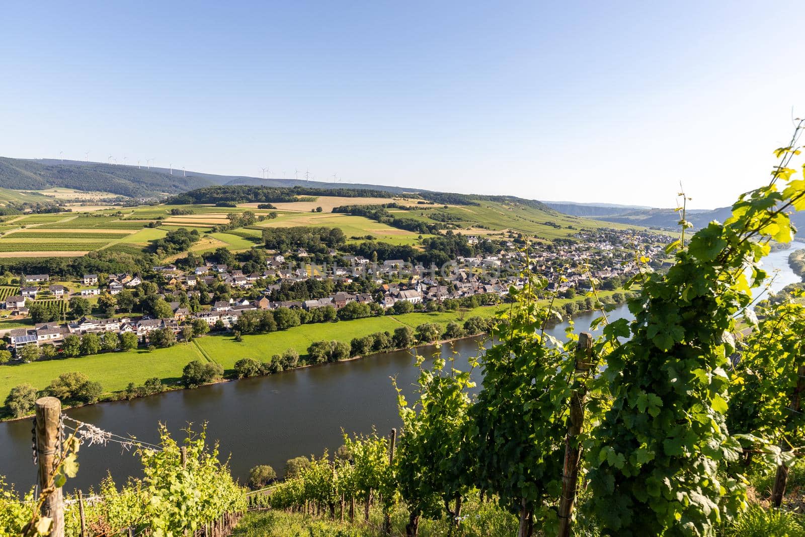 Scenic view on river Moselle valley with vineyard in  foreground by reinerc