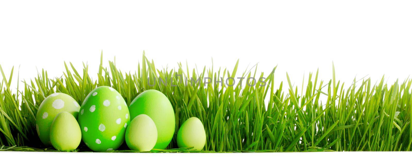Row of green Easter Eggs in fresh green grass isolated on white background