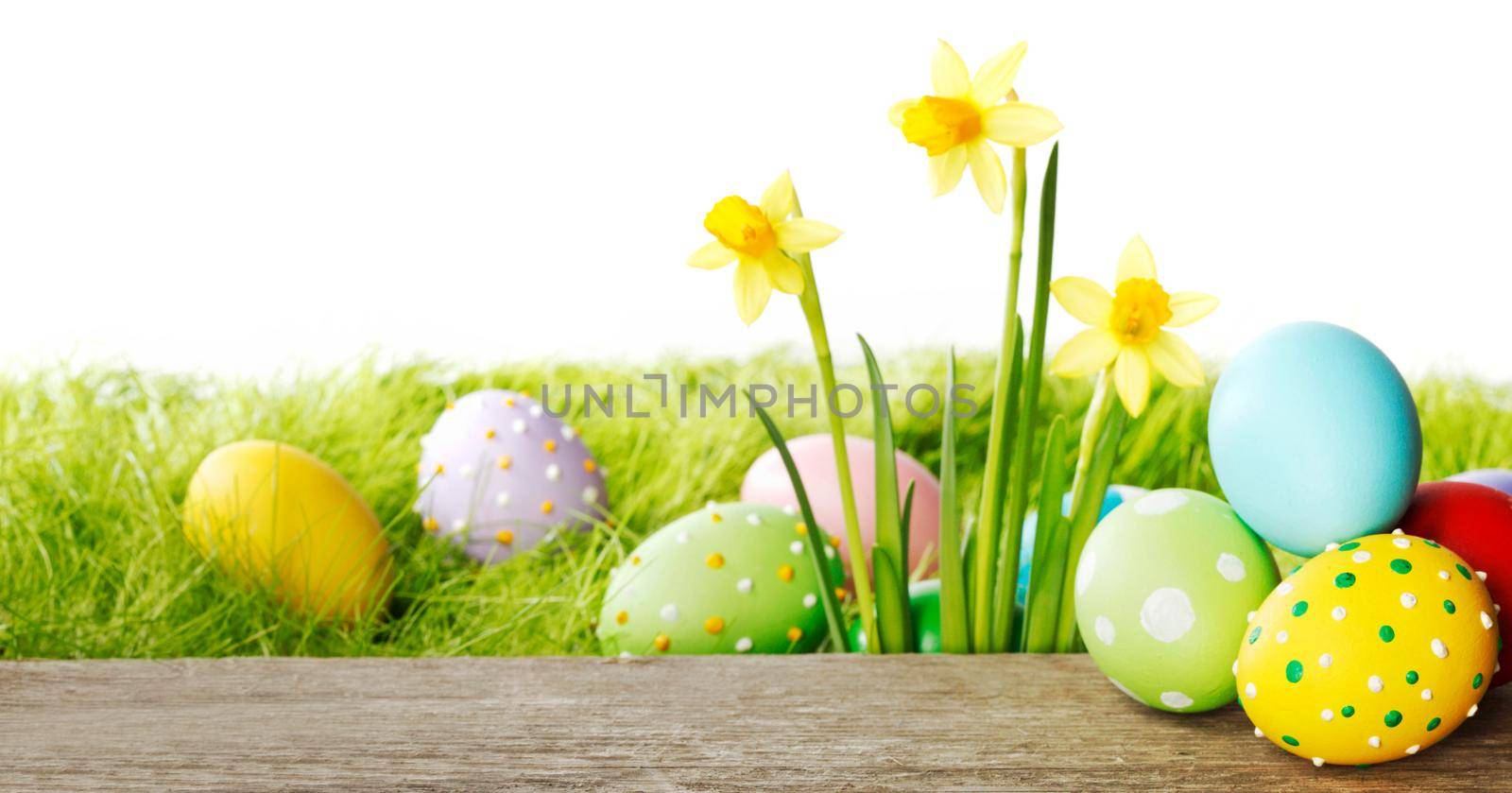 Yellow narcissus flowers and easter eggs on spring grass background