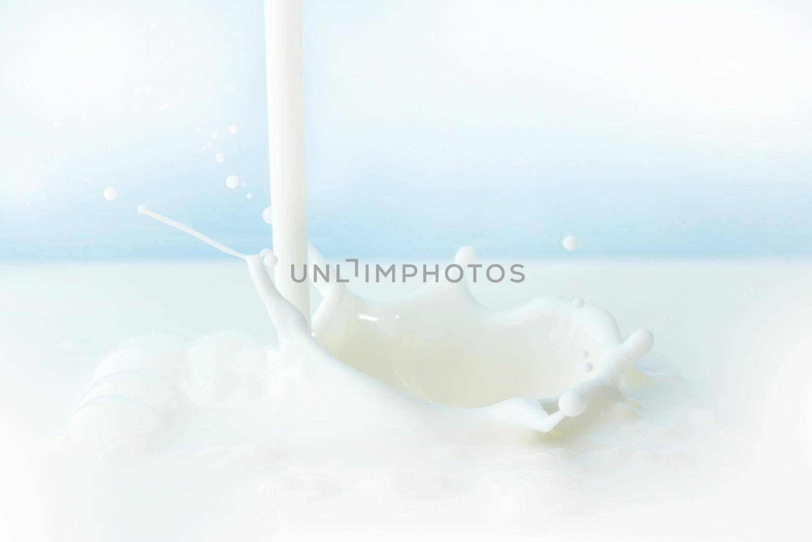 Pouring milk splash on blue background close-up