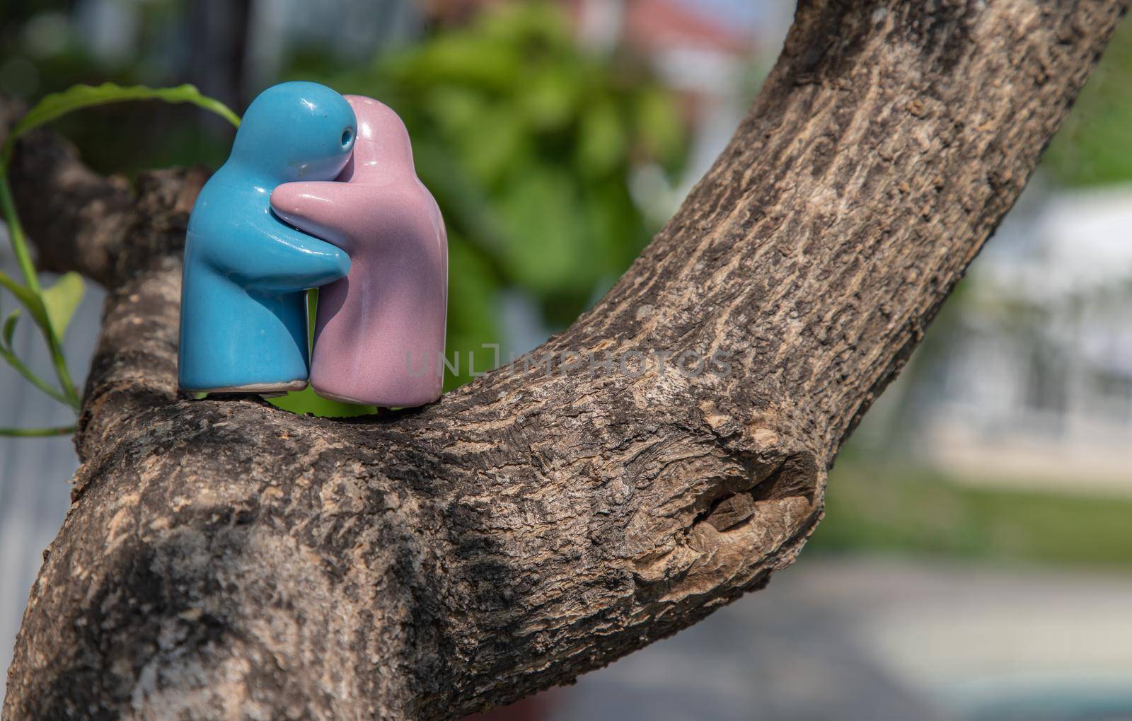 Blue and pink ceramic couple dolls hug with each other on the tree. Concept for anniversary, Wedding and eternal love concept, Romance wedding or Valentine’s day.