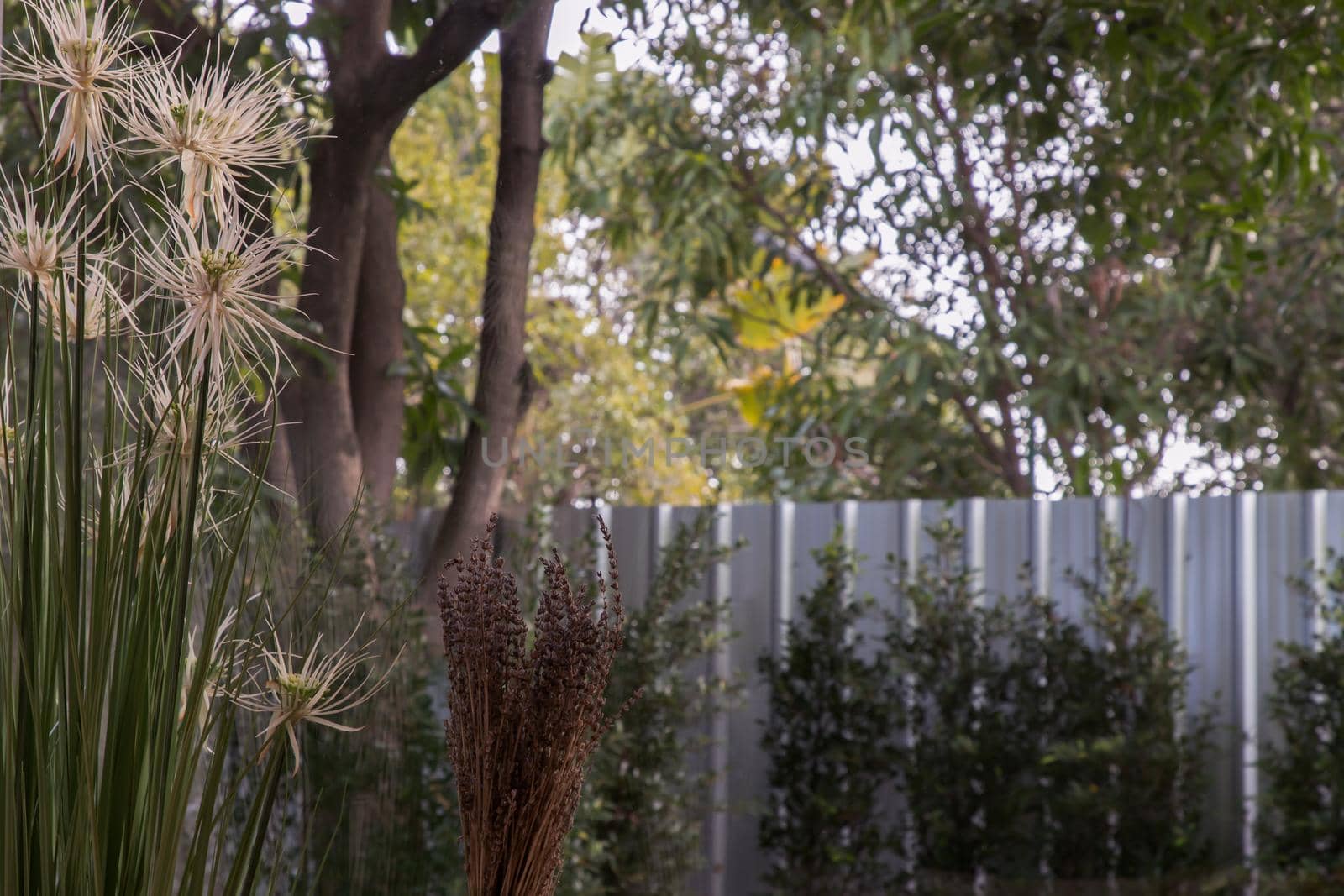 Backyard views and blooming flowers in summer time. House design for green living concept. Environmental friendly home design. Focus and blur.