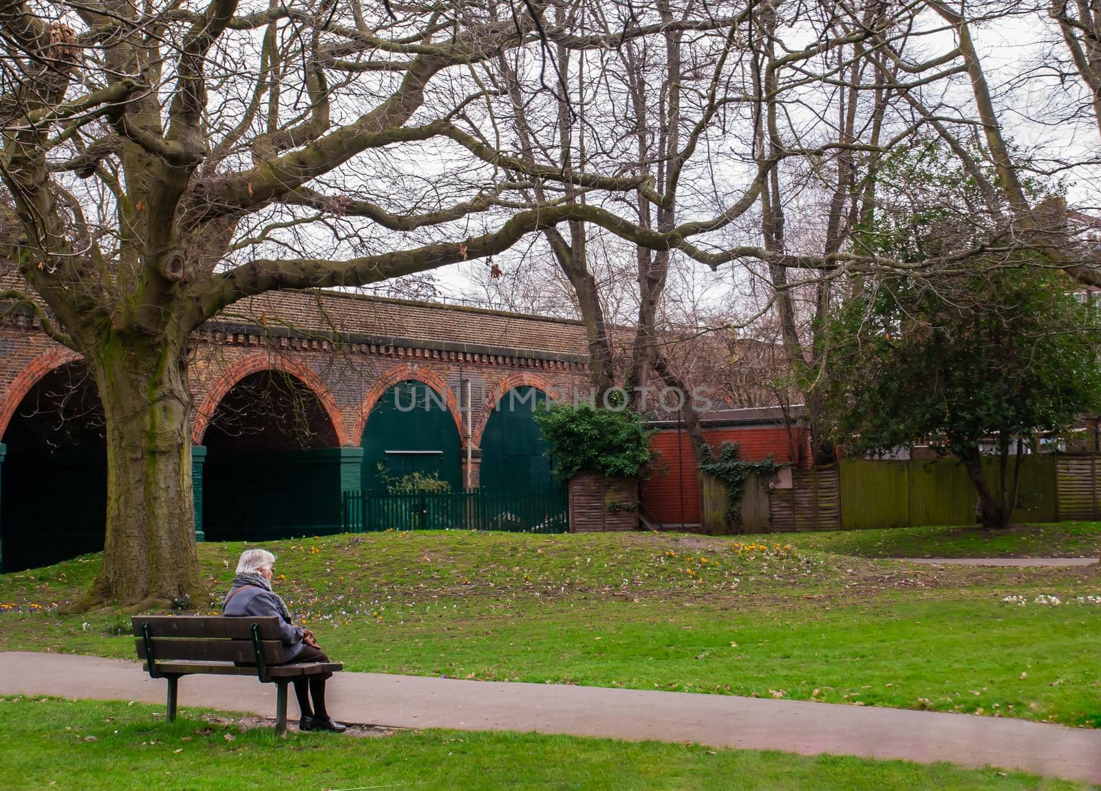 Elderly caucasian woman sitting on wooden chair in park bench. No focus, specifically.