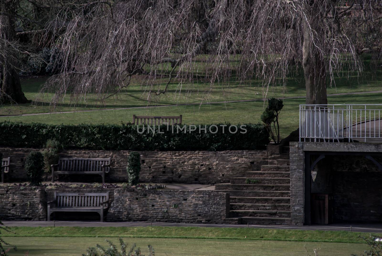 Wooden benchs on grass lawn outdoor for relaxing in spring time at nature park. Garden landscape with wooden chairs in nature. Focus and blur.