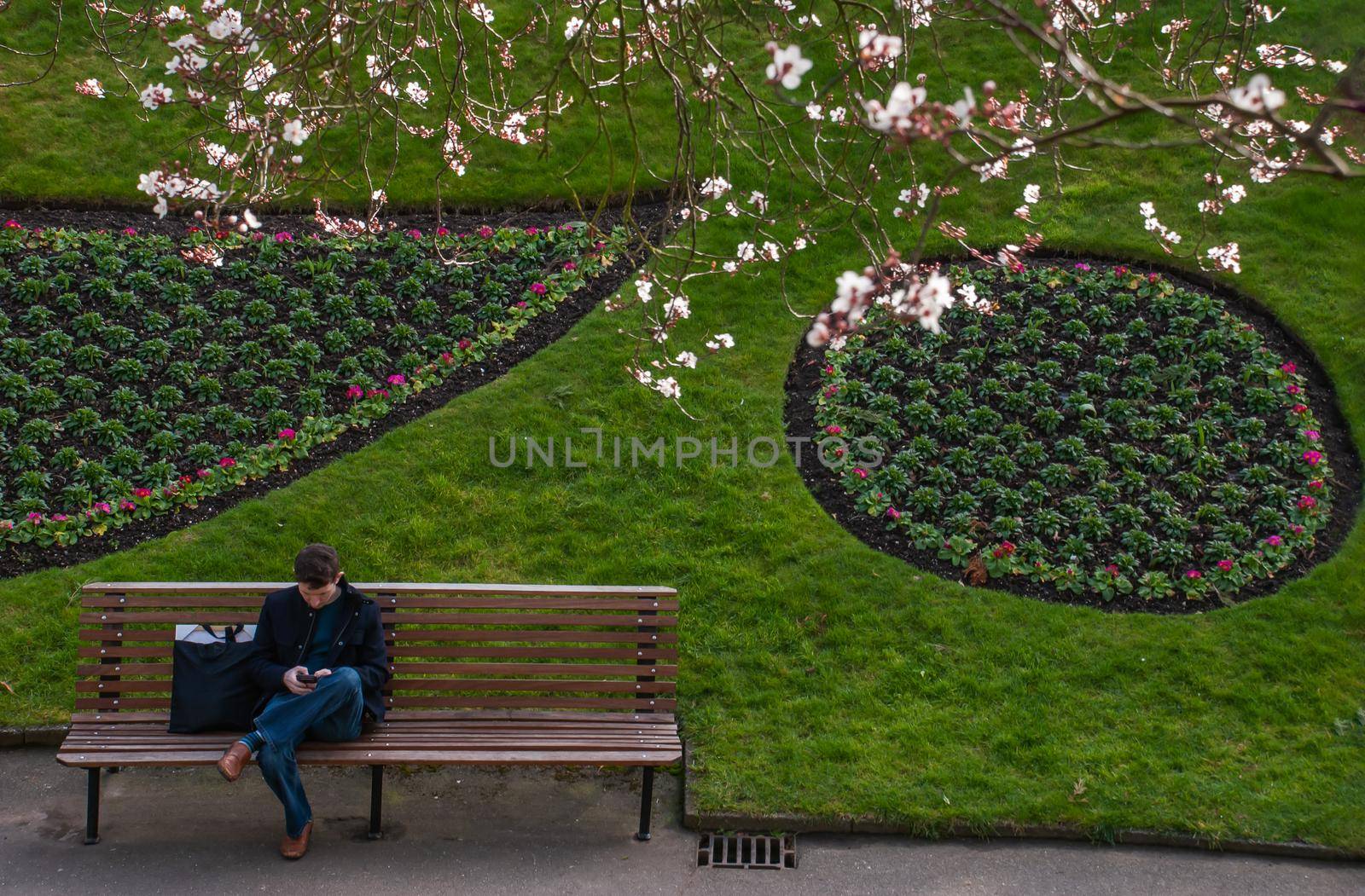 Guildford, United Kingdom - May 05, 2019 : A man sit and pressing mobile on wooden bench in green park. No focus, specifically.