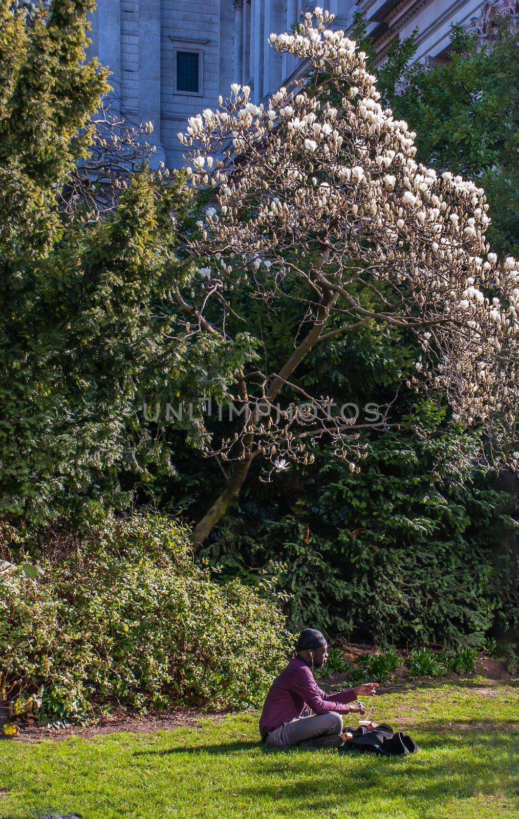 London, United Kingdom - APR 21, 2019 : A man sit and relax on a green lawn in a park. Summer afternoon in the park. No focus, specifically.