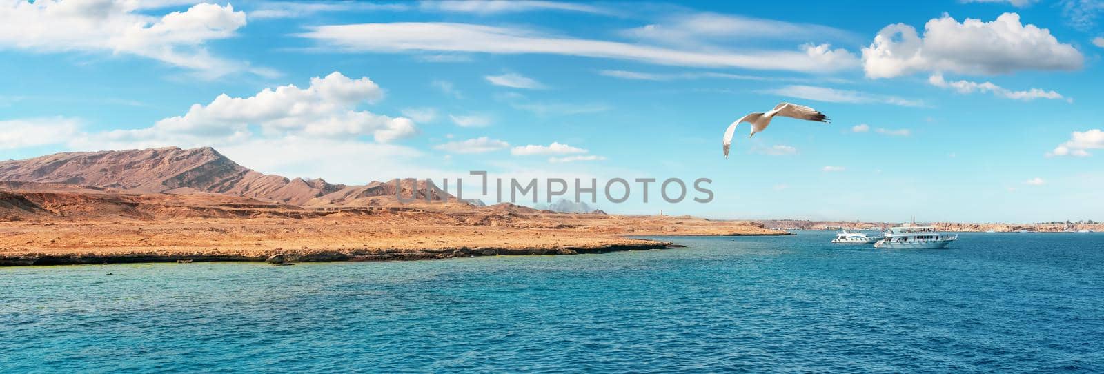 View on egyptian coast from the red sea