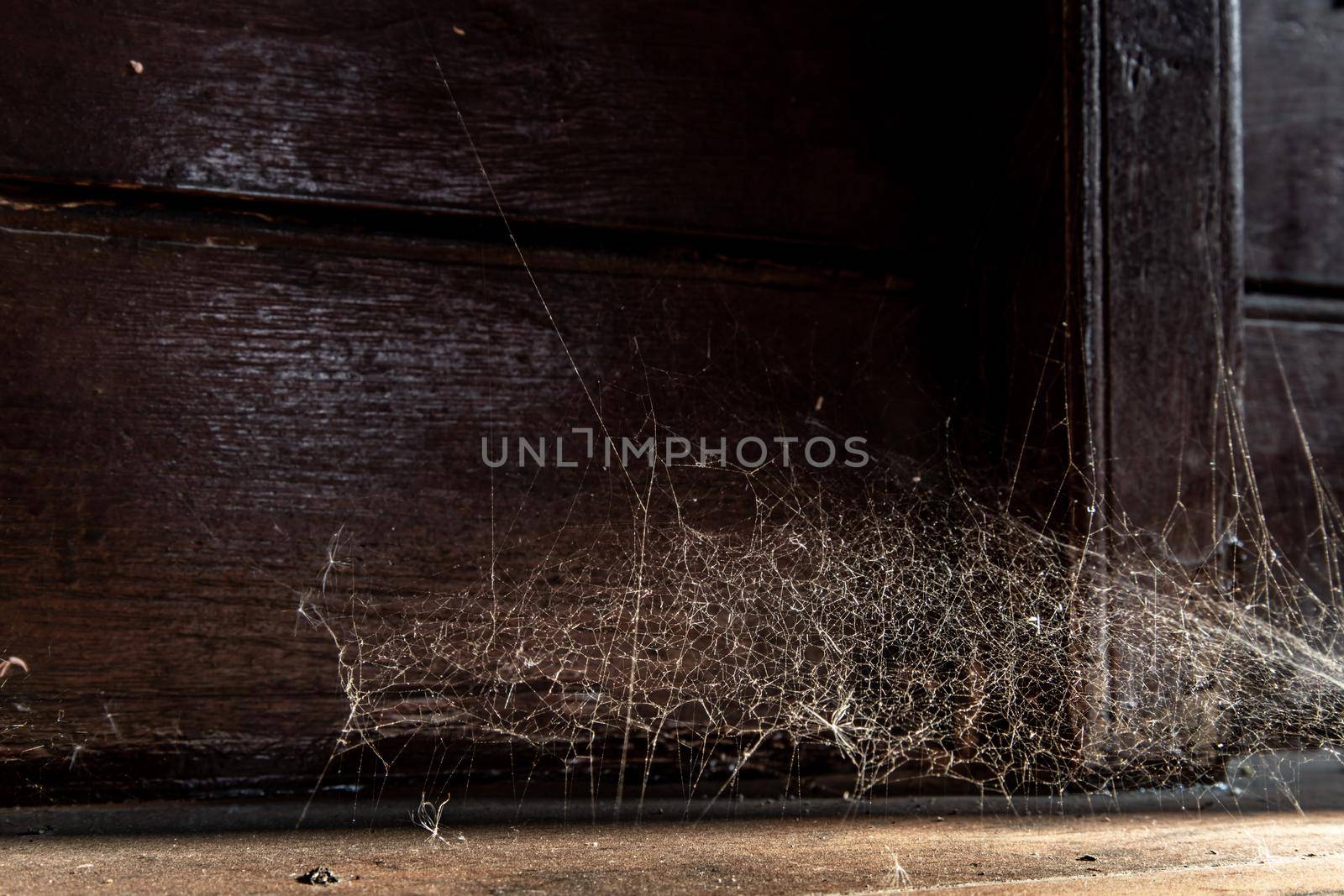 Spider woven web in wall of ancient thai house, Abstract Spiderweb on wall background