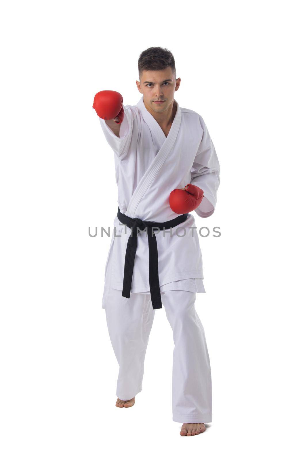 Man fighter training taekwondo isolated on white background