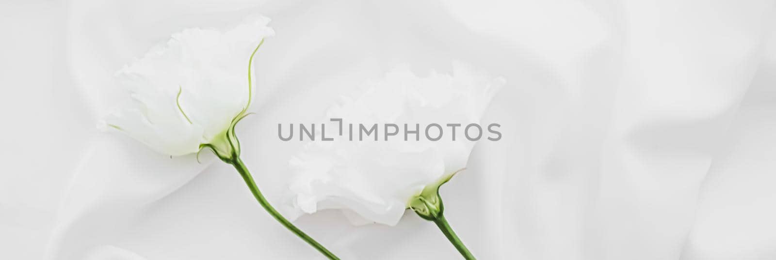 White rose flowers on silk fabric as bridal flatlay background, wedding invitation and holiday branding, flat lay design concept