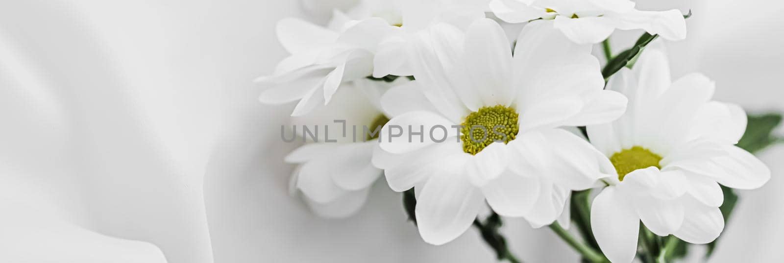 White daisy flowers on silk fabric as bridal flatlay background, wedding invitation and holiday branding, flat lay design by Anneleven