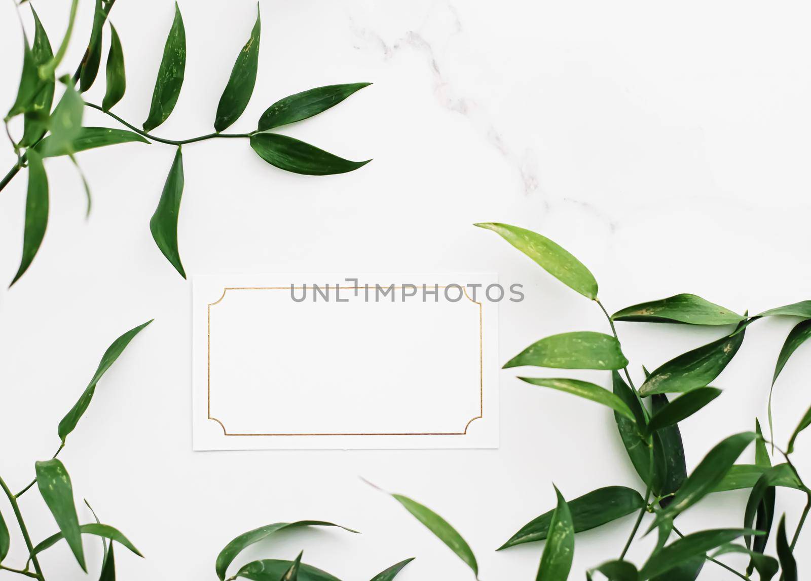 Blank white and gold card, green leaves on white background as botanical frame flatlay, wedding invitation and branding, flat lay design by Anneleven