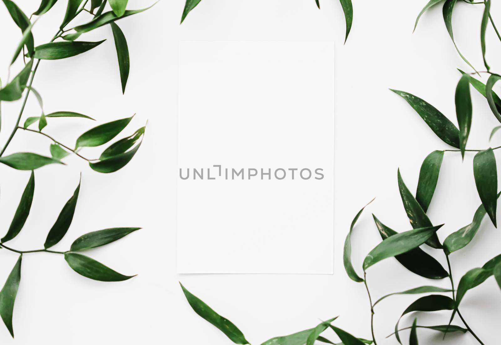 Blank white card, green leaves on white background as botanical frame flatlay, wedding invitation and holiday branding, flat lay design by Anneleven