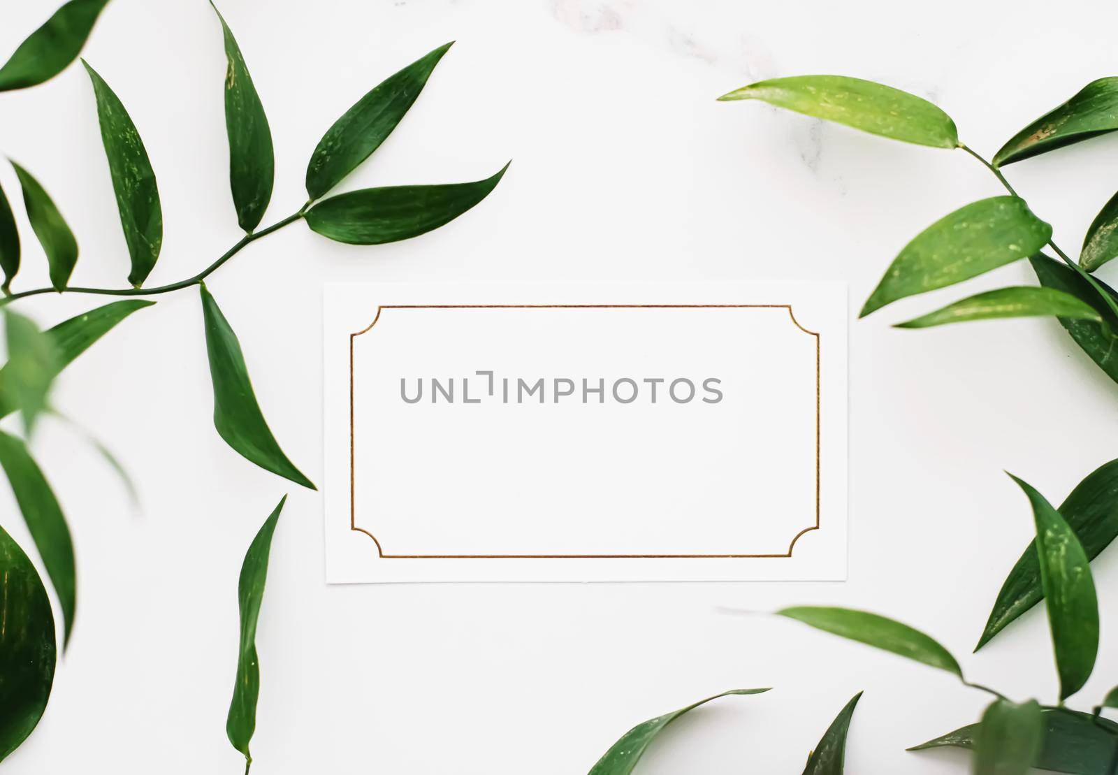 Blank white and gold card, green leaves on white background as botanical frame flatlay, wedding invitation and branding, flat lay design concept