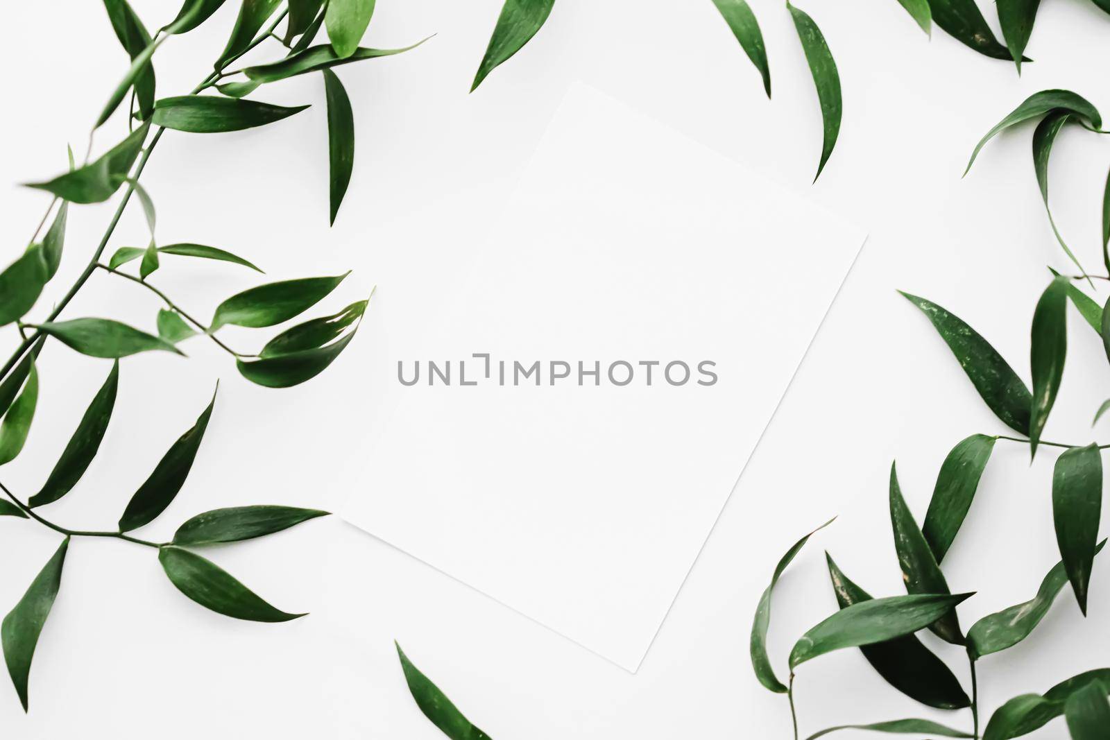 Blank white card, green leaves on white background as botanical frame flatlay, wedding invitation and holiday branding, flat lay design by Anneleven