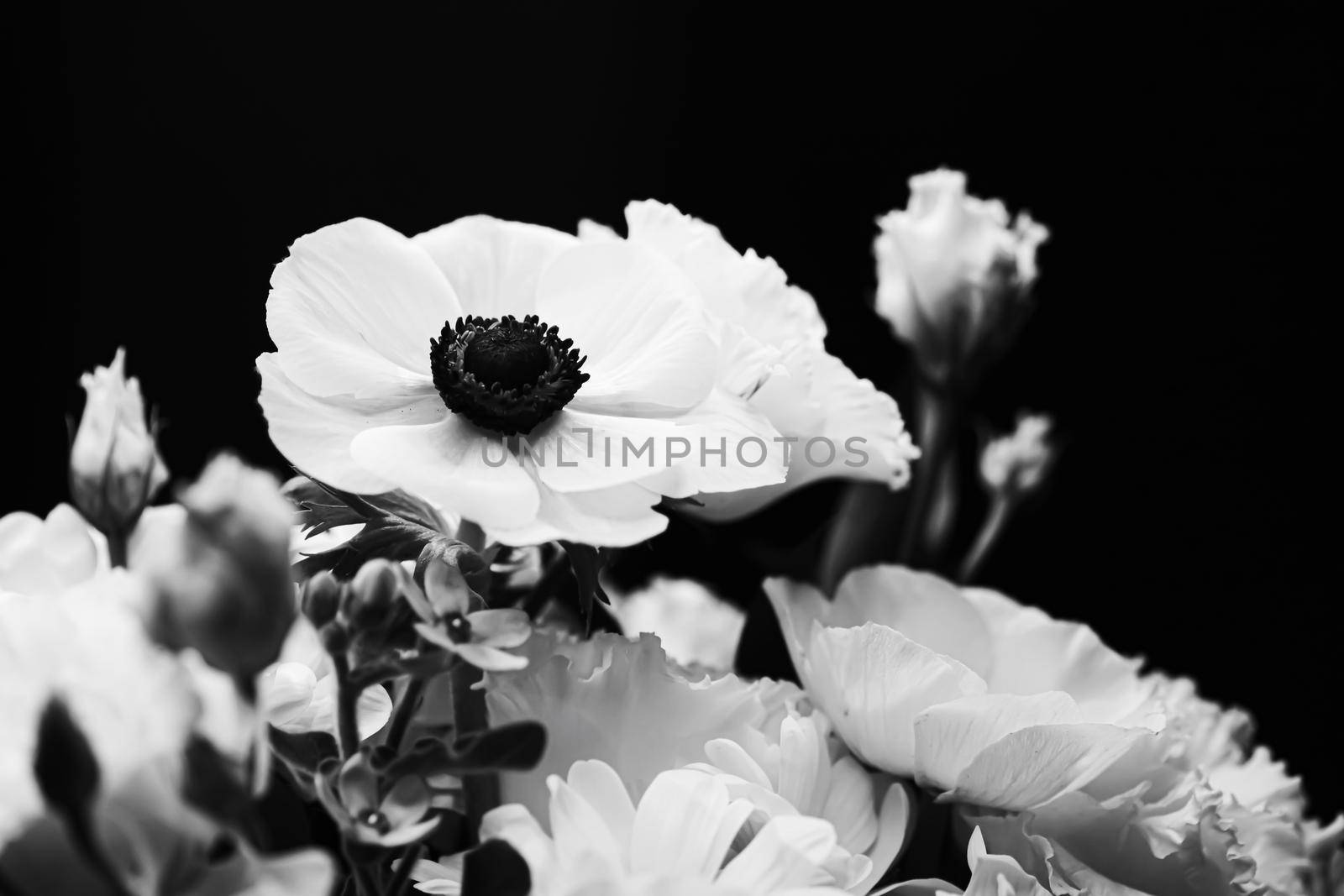 Flower bouquet as beautiful floral arrangement, creative flowers and floristic design, classic black and white monochrome by Anneleven