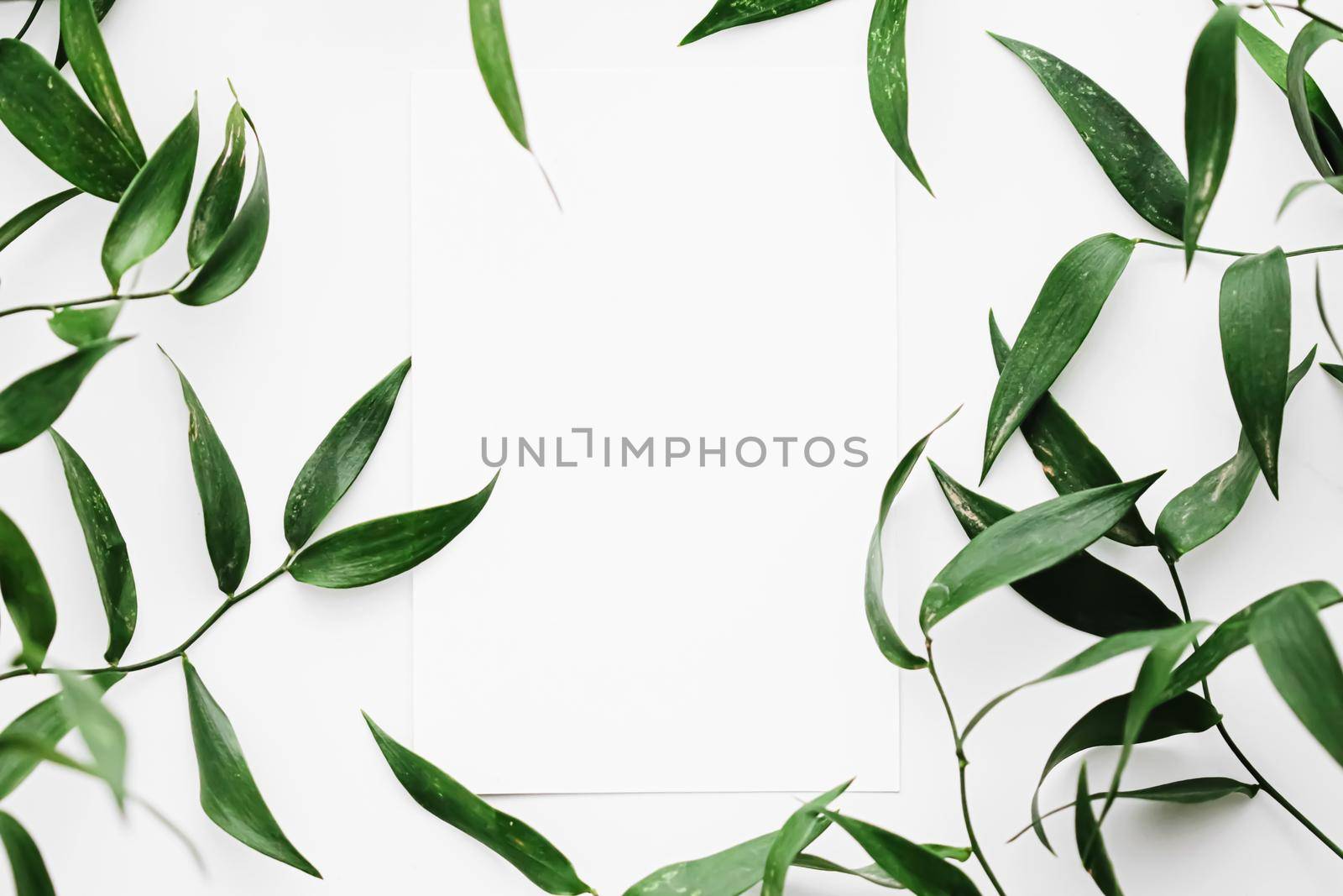 Blank white card, green leaves on white background as botanical frame flatlay, wedding invitation and holiday branding, flat lay design concept