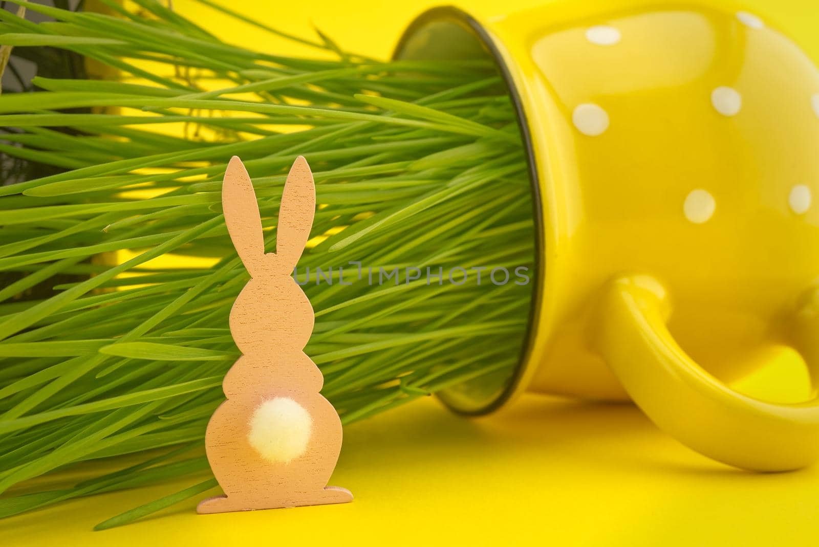 Wheat seedlings growing from a yellow cup and Easter Rabbit figure. Creative Easter holiday background