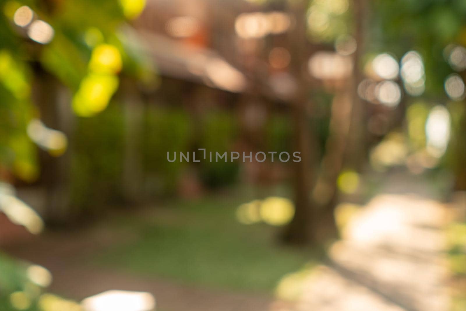 Blur nature bokeh green park by beach and tropical coconut trees. by Suwant