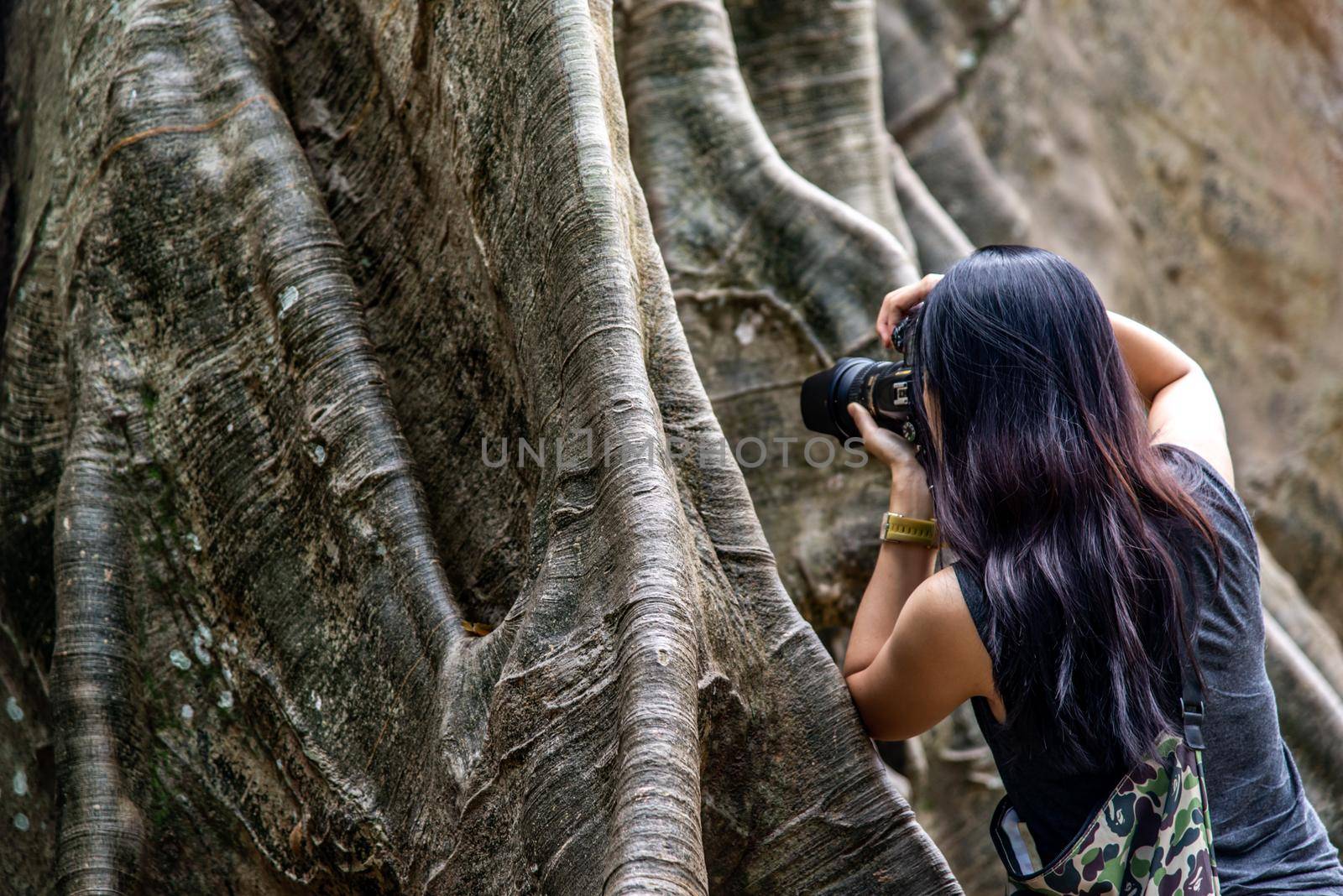 Young woman with Shoulder bag and using a camera to take photo Giant big tree, Size comparison between human and giant big tree in Ban Sanam of Uthai Thani Province, Thailand, nature background.