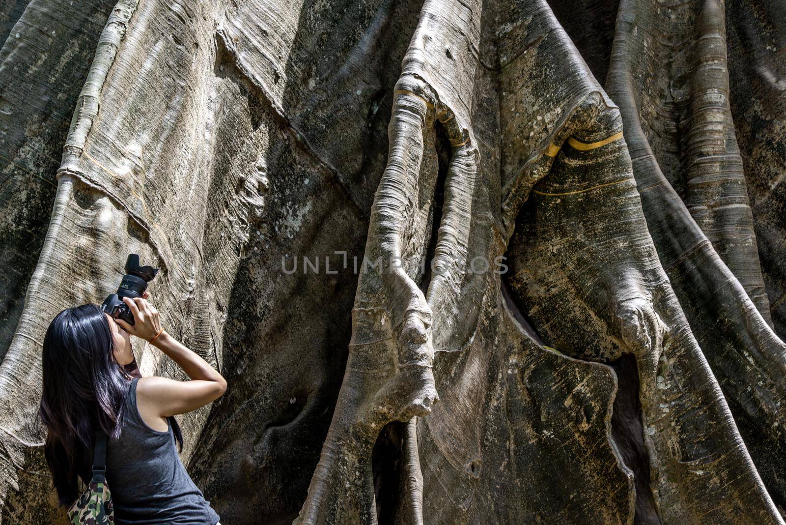 Young woman with Shoulder bag and using a camera to take photo Giant big tree, Size comparison between human and giant big tree in Ban Sanam of Uthai Thani Province, Thailand. by tosirikul