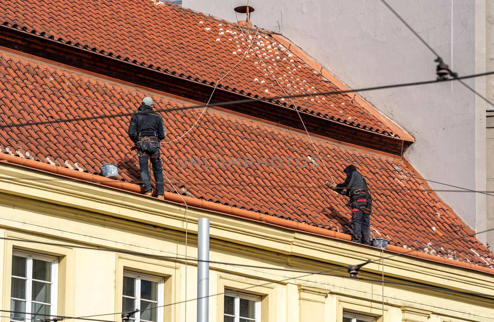 repair of the roof of a town house. Work at heights.