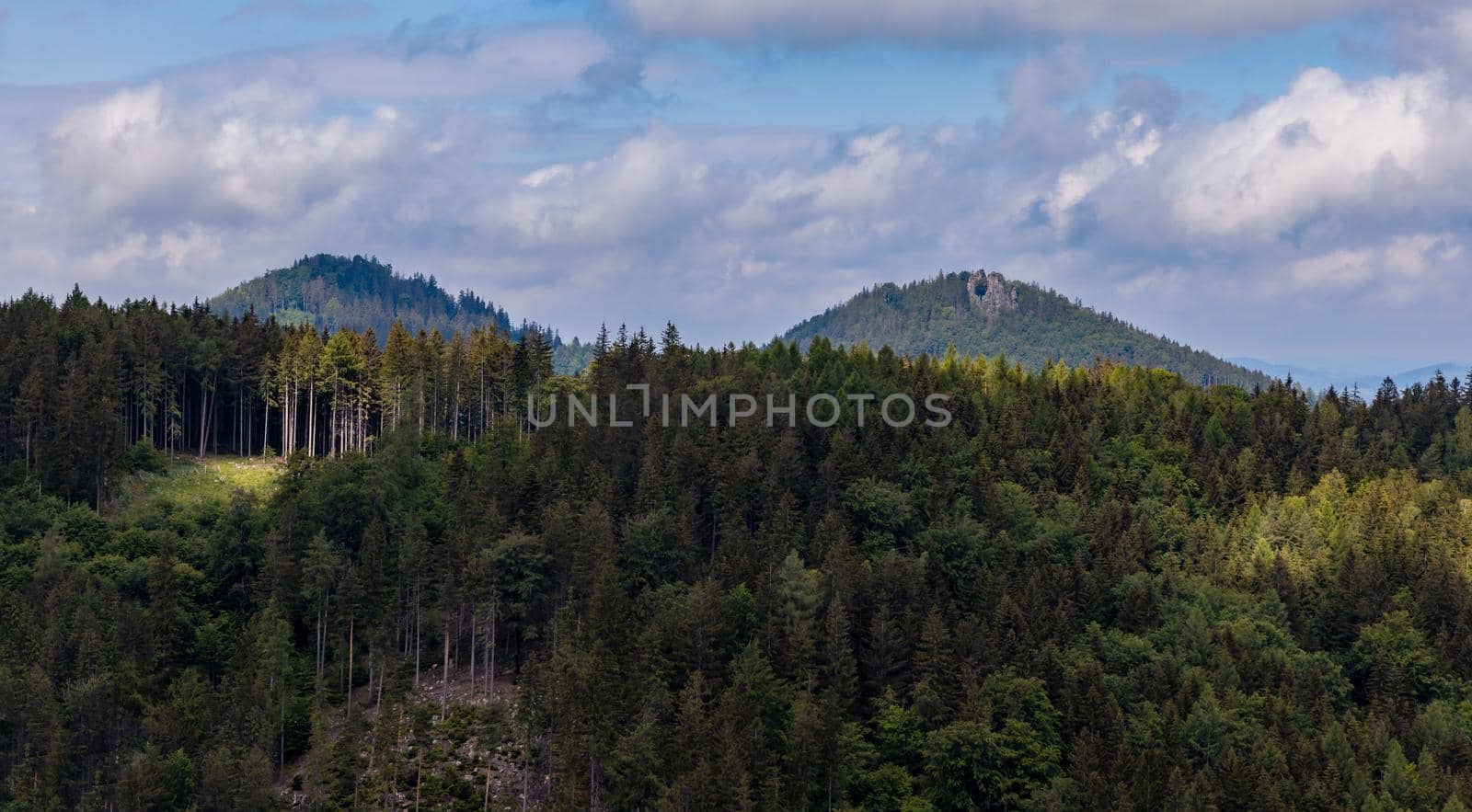Panorama of Rudawy Janowickie mountains full of high trees at sunny day