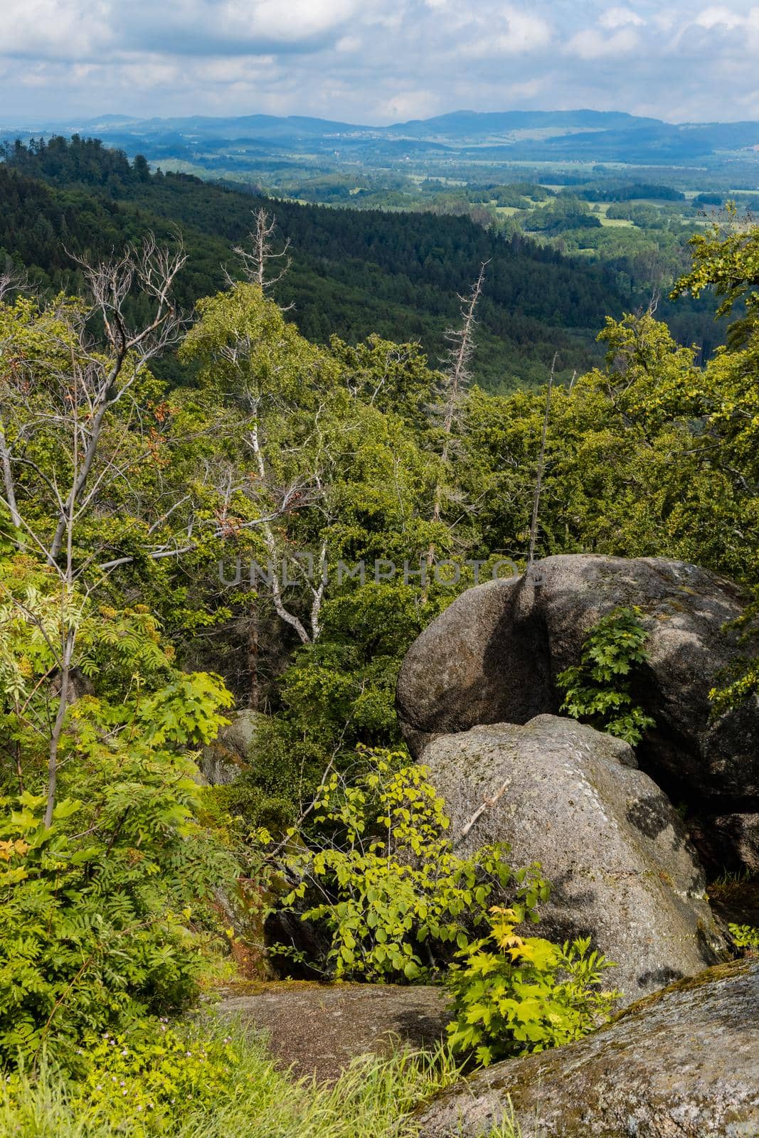 Panorama of Rudawy Janowickie mountains full of high trees at sunny day