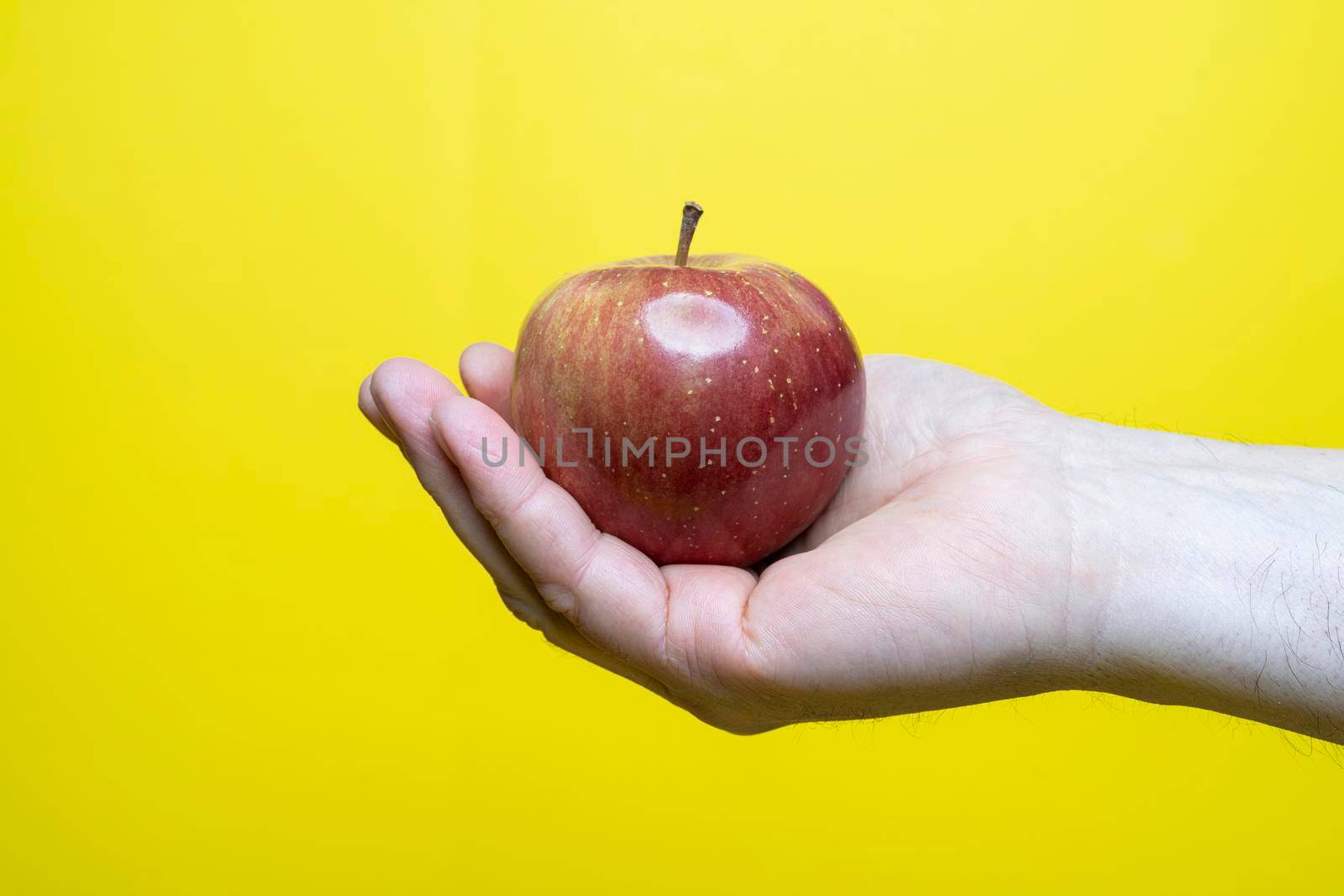 An apple in the hand