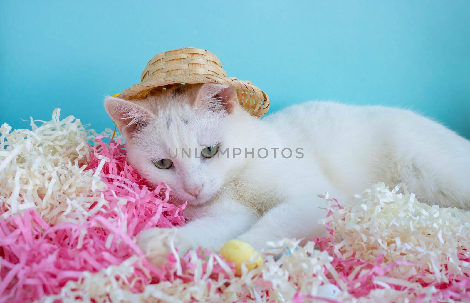 A cute white cat in a straw hat is lying on the tinsel next to the eggs. Easter Concept.