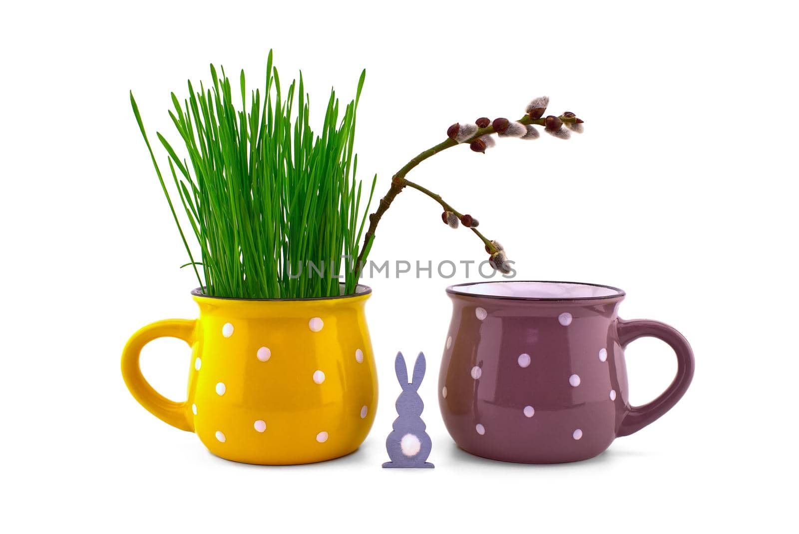 Wheat seedlings growing from yellow cup with pussy willow branch and Easter Rabbit figure isolated on white background