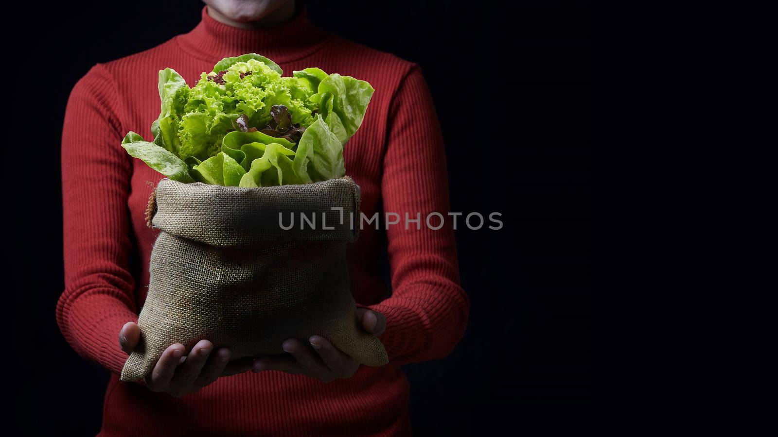 Woman holding vegetable delivery for healthy on dark background