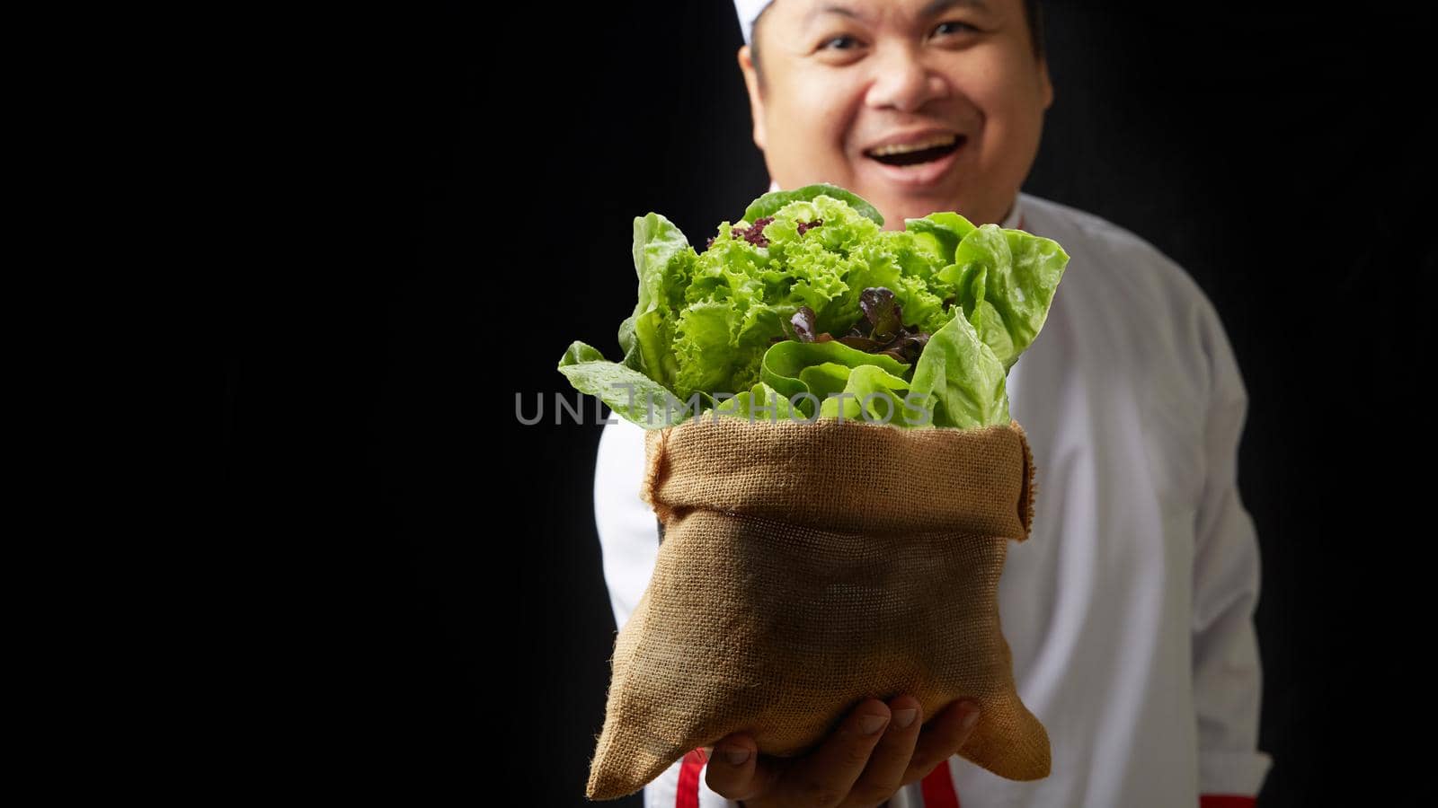 Vegetable on hand chef by Wasant