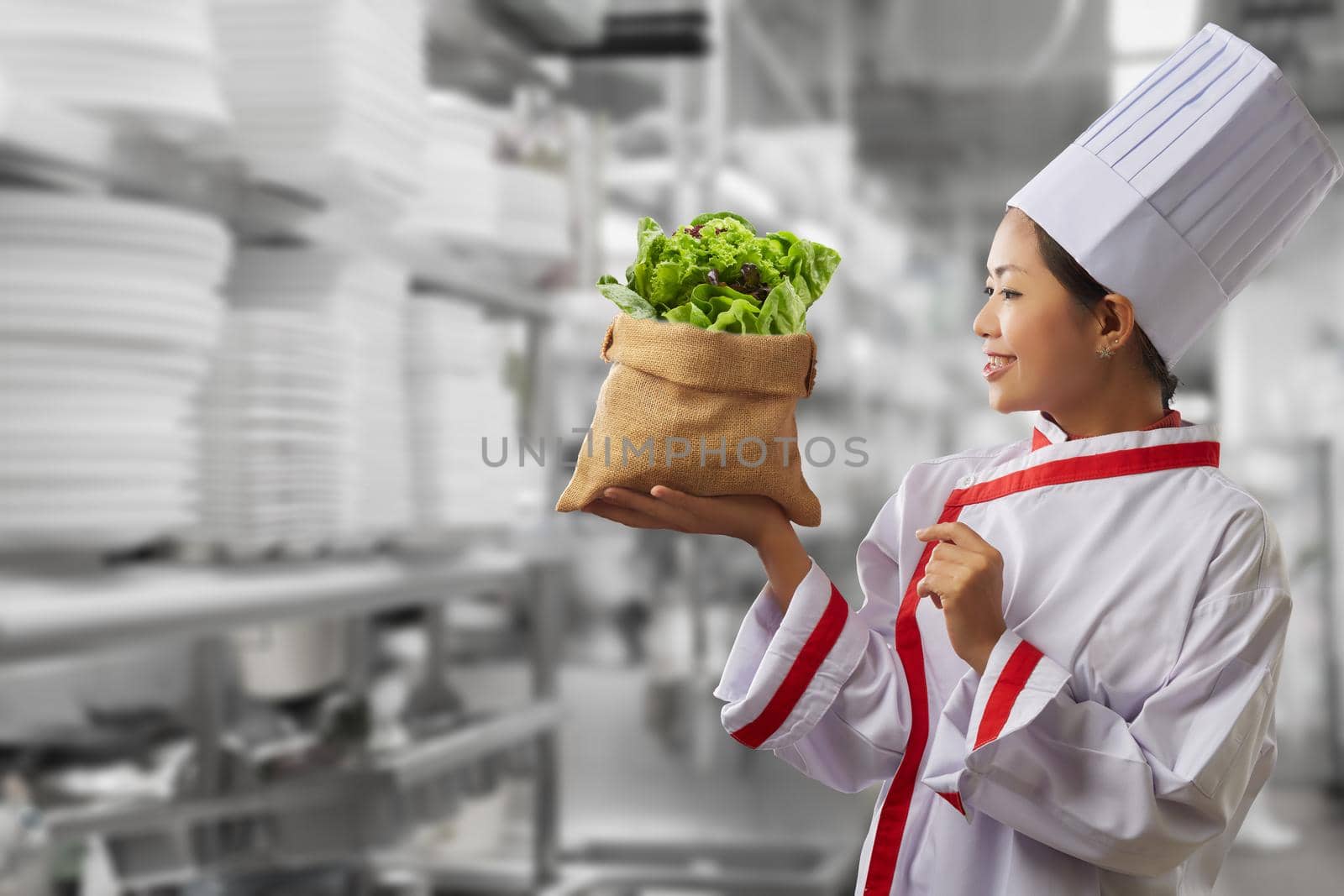 Vegetable in sack on chef hand is holding