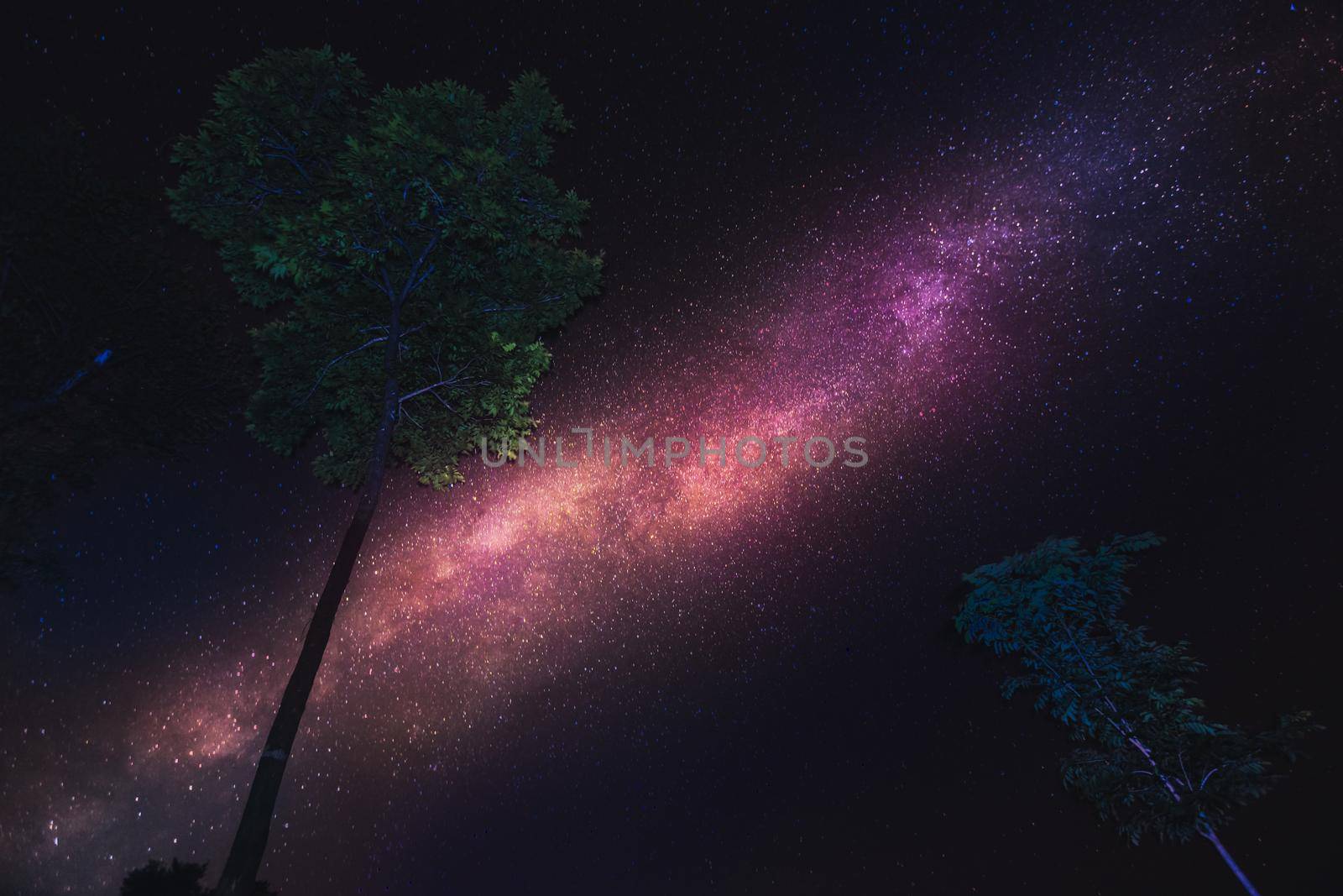 The Milky Way is beautiful and some trees.Kanchanaburi, Thailand.