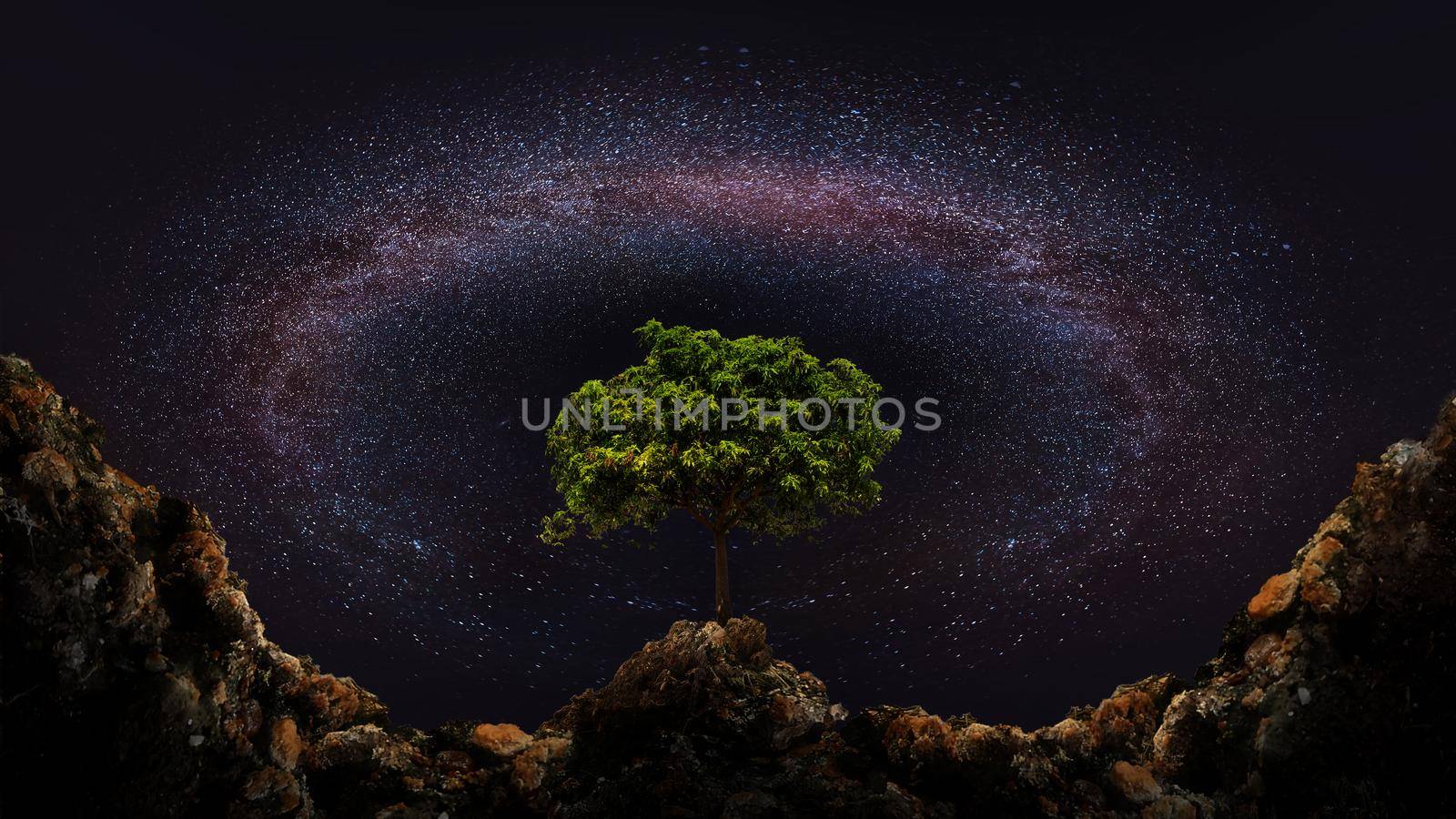 The Milky Way is beautiful  by Wasant