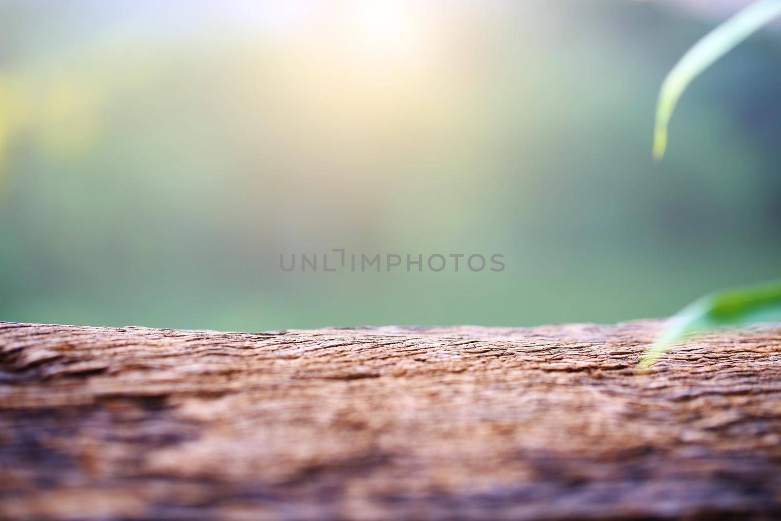 Empty on wooden with blurred background