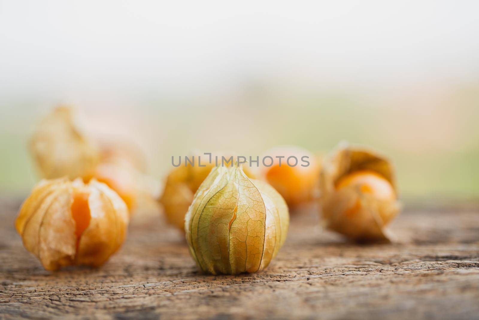 Cape Gooseberries in a group on wood