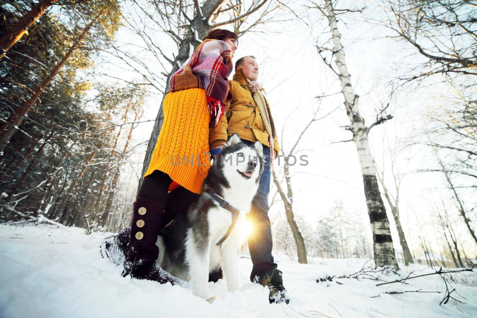 Guy and girl with husky dog in winter in the forest, bottom view by selinsmo