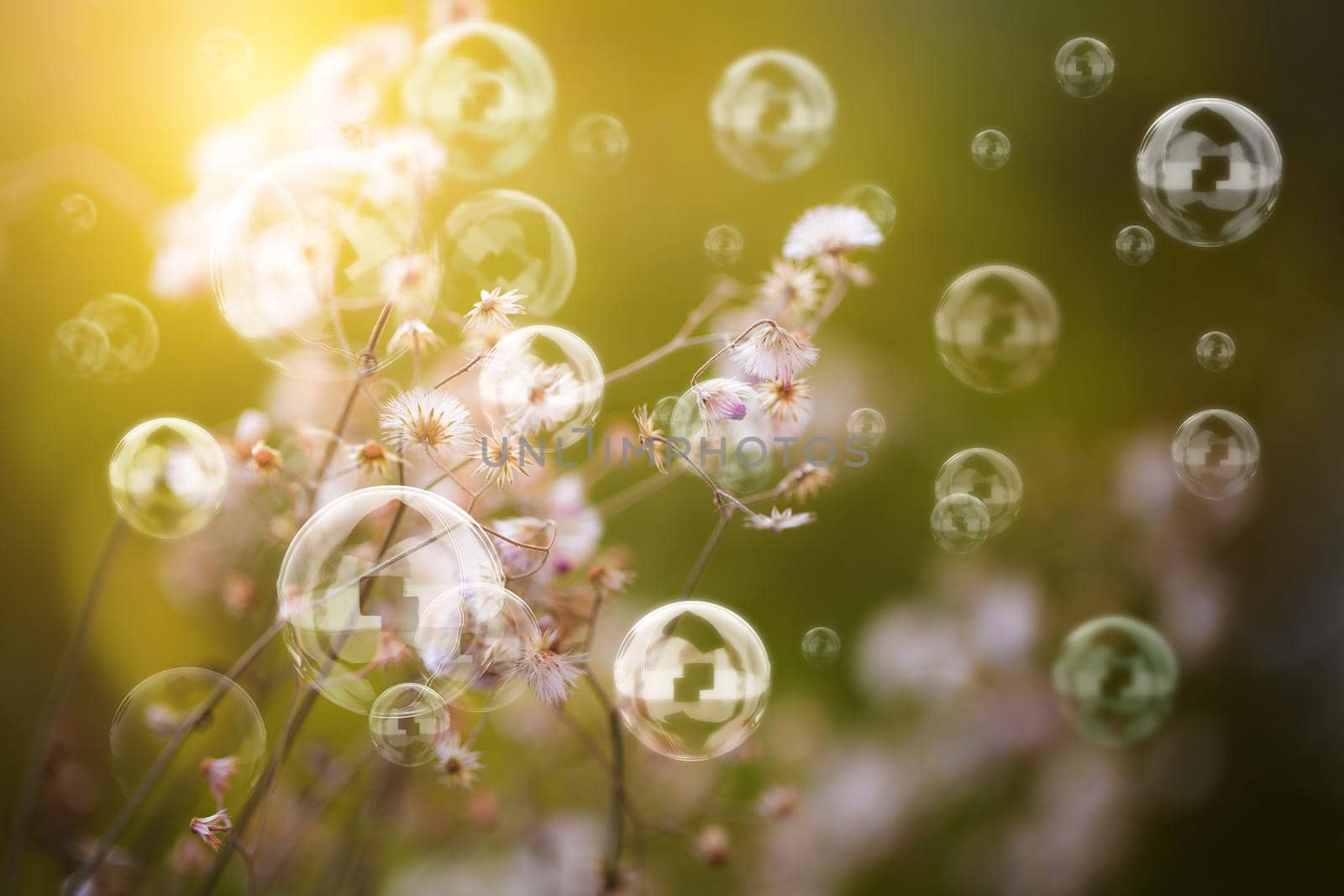 Small soft flowers with soap bubbles on green background