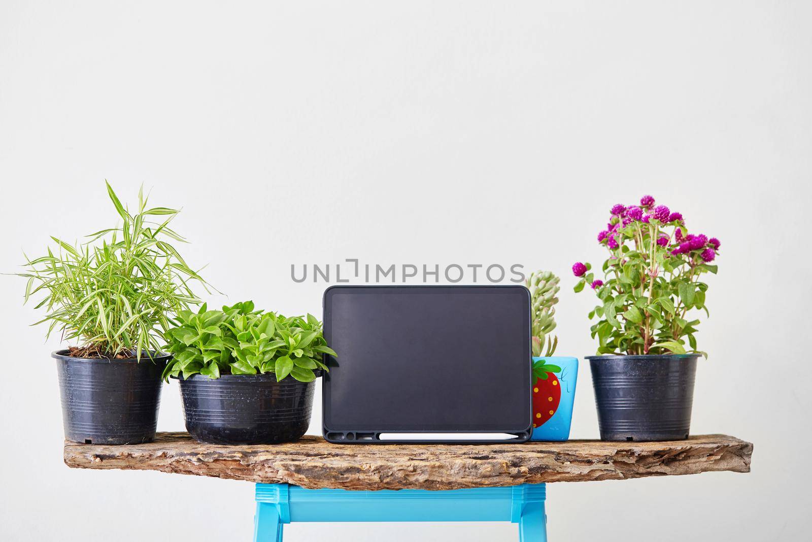 Work flow from home withtablet and  plant on pot
